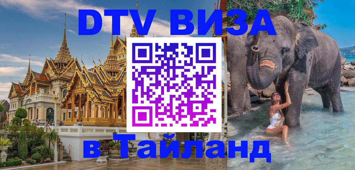 Электронная виза DTV в Тайланд Буэнос-Айрес 
